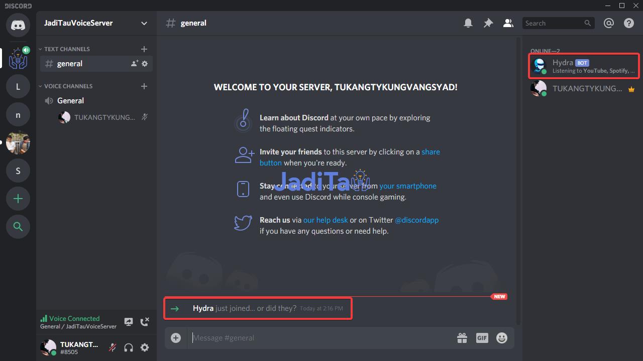 Cara Memutar Lagu Spotify di Discord