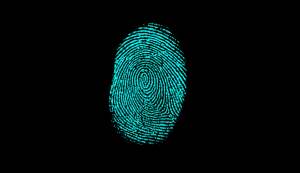algoritma fingerprint